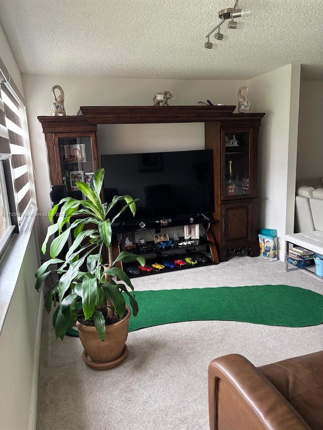 carpeted living room featuring a textured ceiling