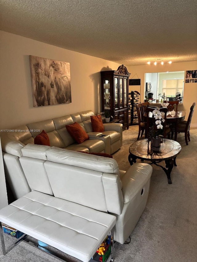 carpeted living room featuring a textured ceiling