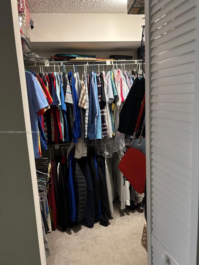 spacious closet featuring carpet flooring