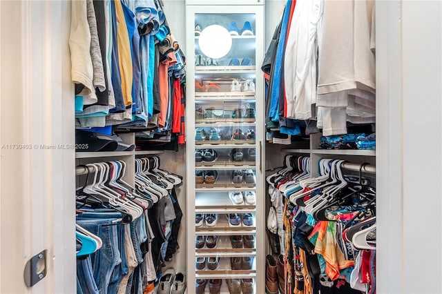 view of walk in closet