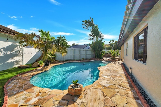 view of pool featuring a patio area