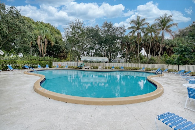 view of pool with a patio area