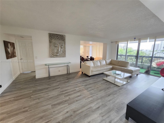 living room featuring wood-type flooring and a textured ceiling