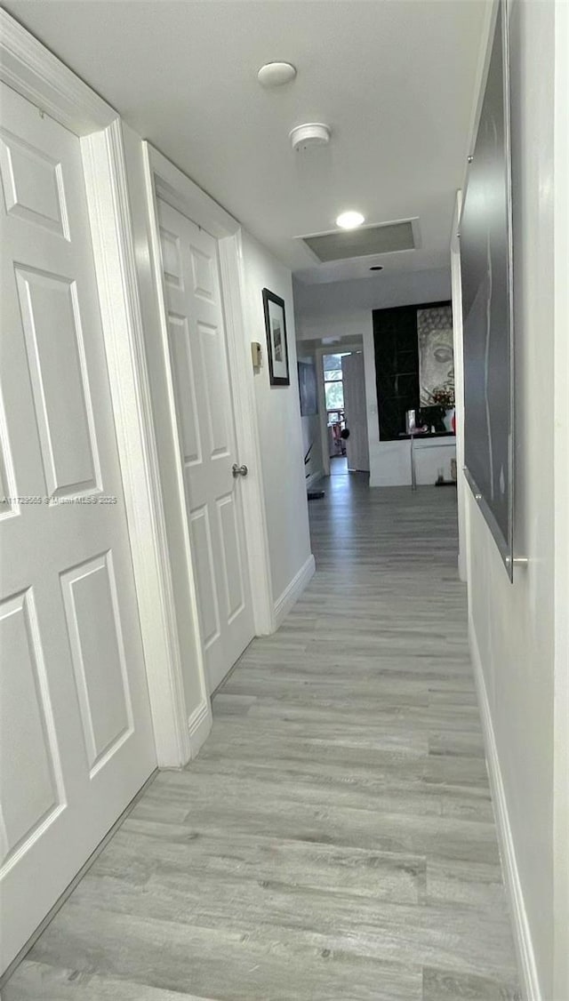 hall with light hardwood / wood-style flooring