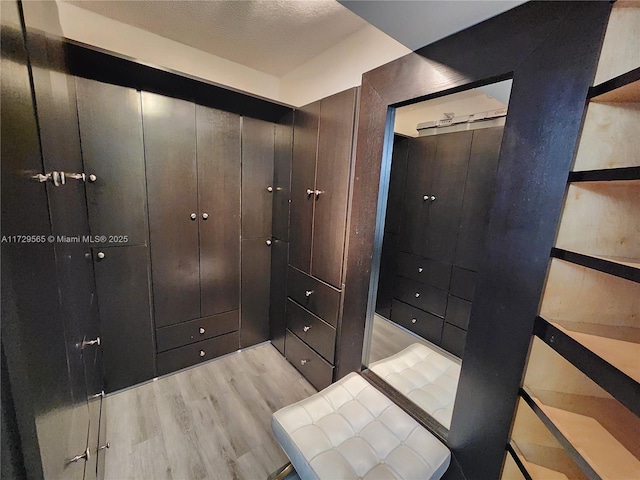 walk in closet featuring light hardwood / wood-style flooring