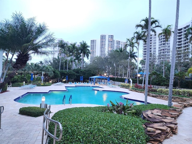 view of pool featuring a patio