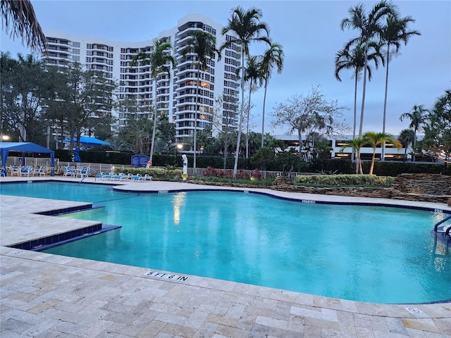 view of pool with a patio area