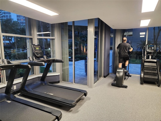 exercise room with floor to ceiling windows and carpet