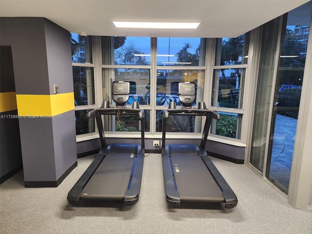 exercise area with carpet and floor to ceiling windows