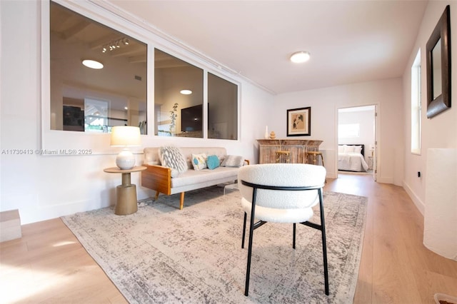 living room featuring light hardwood / wood-style flooring