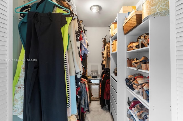 view of spacious closet