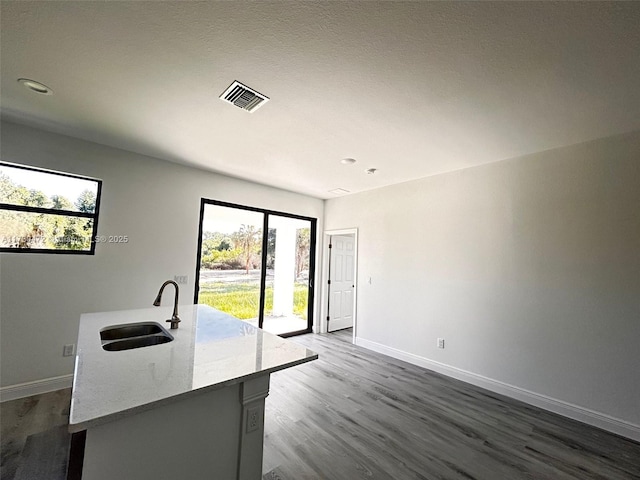 kitchen with sink, a center island with sink, light stone countertops, and dark hardwood / wood-style flooring