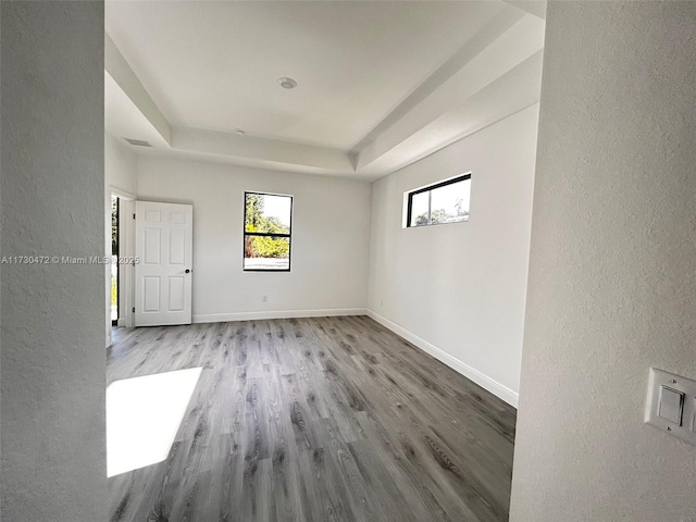 spare room with light hardwood / wood-style flooring and a raised ceiling