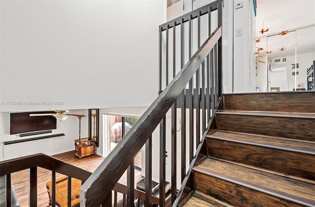 staircase featuring wood-type flooring