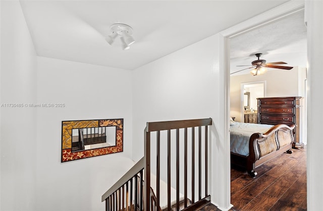 hallway featuring dark wood-type flooring