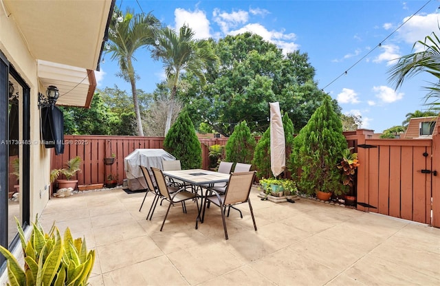 view of patio / terrace featuring area for grilling