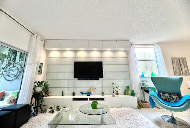 living room with a textured ceiling