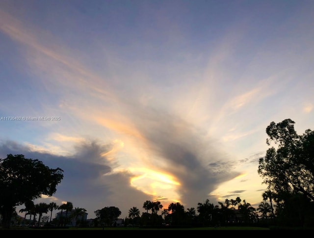 view of nature at dusk