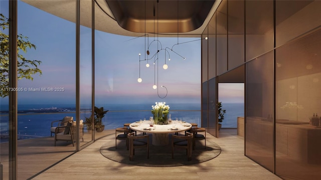 dining space featuring a water view, light hardwood / wood-style flooring, and a tray ceiling