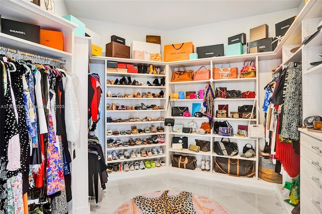 view of walk in closet