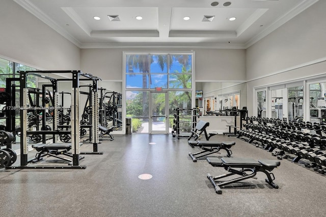 gym with plenty of natural light, crown molding, and a towering ceiling