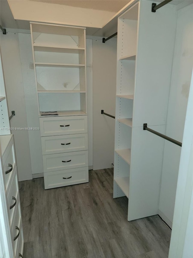 walk in closet with light hardwood / wood-style floors