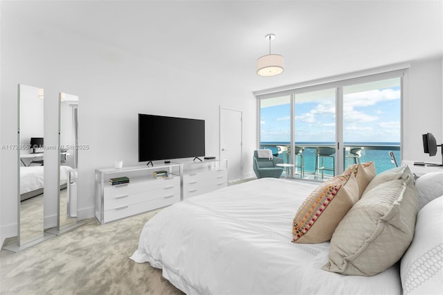 bedroom featuring expansive windows, light colored carpet, and access to exterior