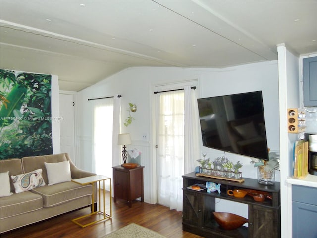 living room with dark wood-type flooring and vaulted ceiling