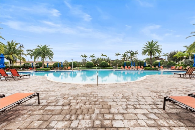 view of swimming pool featuring a patio