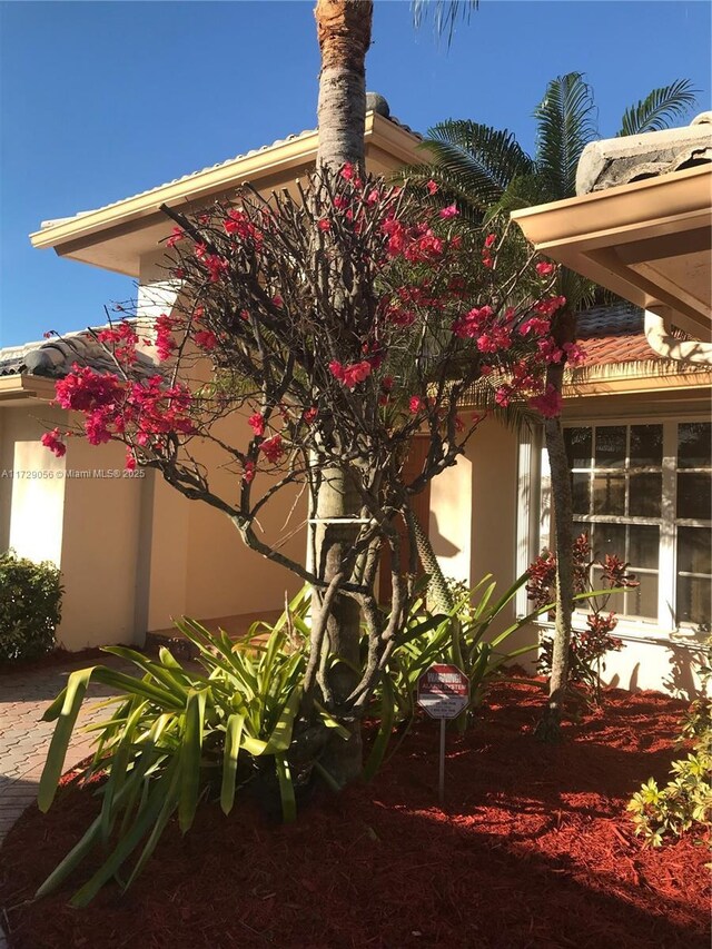 13850 SW 153rd Pl, Miami, FL 33196 - photo 33