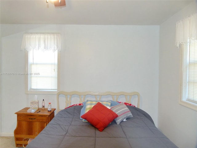 bedroom with ceiling fan, multiple windows, and carpet