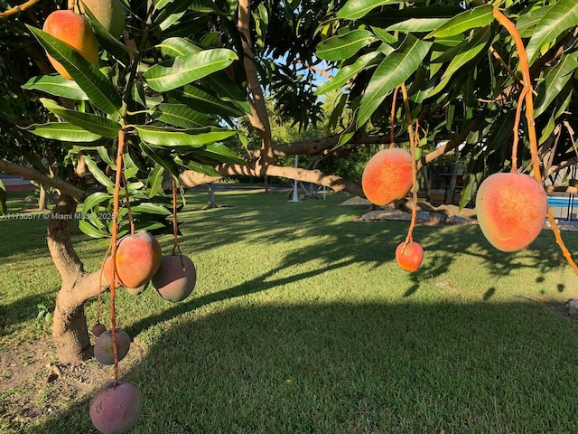 view of property's community featuring a yard