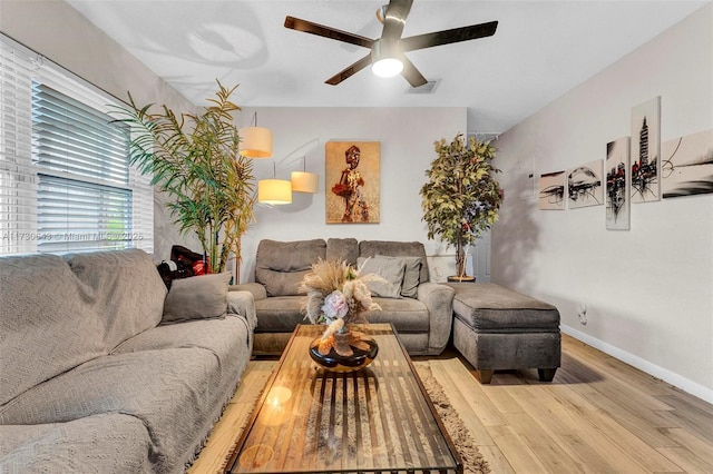 living room featuring ceiling fan and wood-type flooring