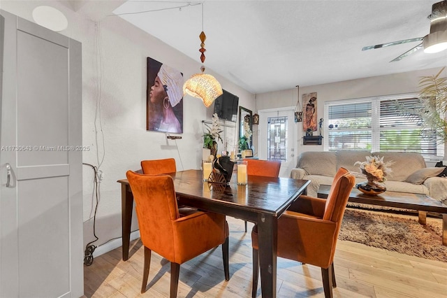 dining room featuring light wood-type flooring and ceiling fan