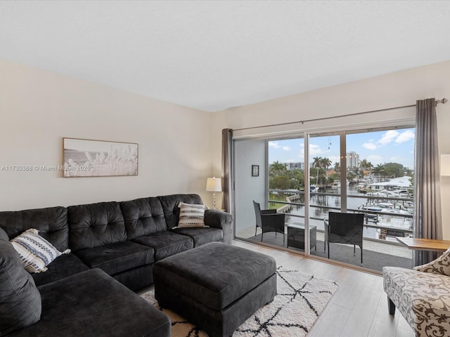 living room with a water view and light hardwood / wood-style flooring