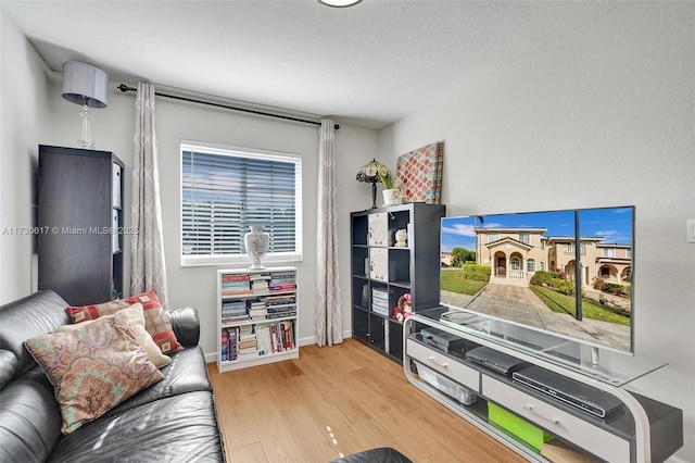 living room featuring light hardwood / wood-style flooring