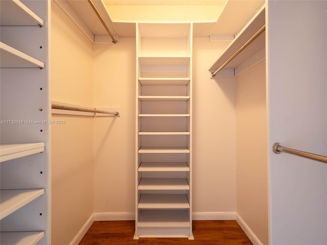 spacious closet with dark wood-type flooring