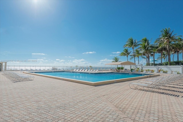 view of pool featuring a patio area