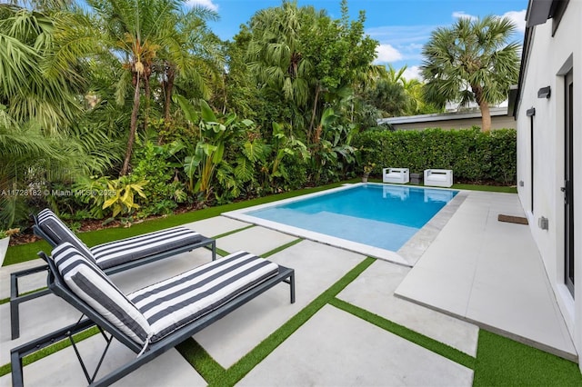 view of pool with a patio