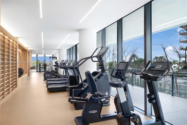 workout area featuring a wall of windows