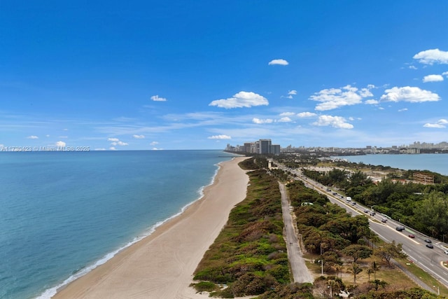 water view featuring a beach view