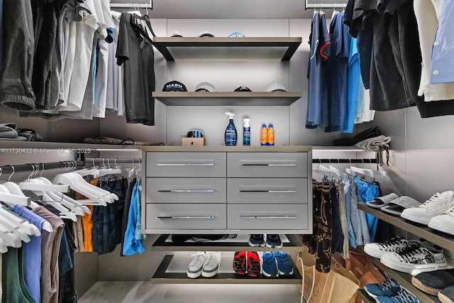 view of spacious closet