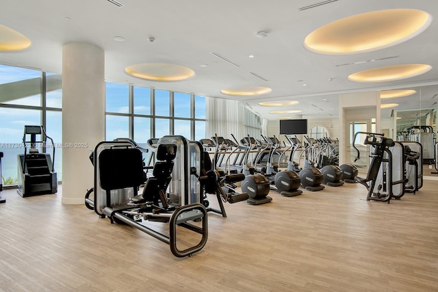 exercise room featuring a wealth of natural light, light hardwood / wood-style floors, and floor to ceiling windows