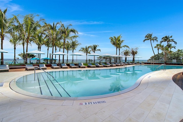 view of pool featuring a patio