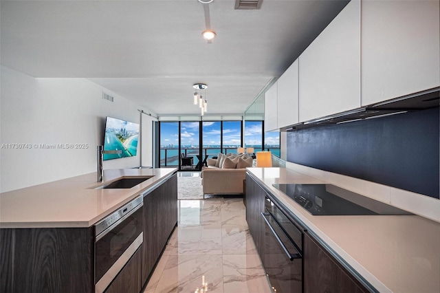 kitchen with sink, white cabinetry, floor to ceiling windows, and dark brown cabinetry