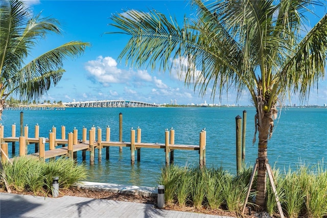 dock area featuring a water view