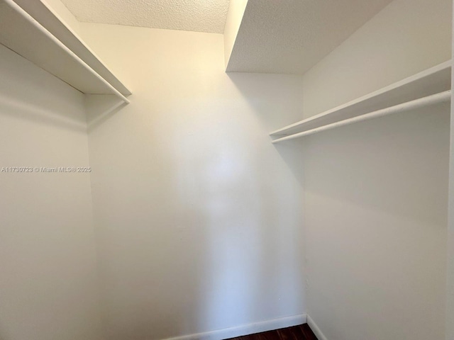 15600 NW 7th Ave Unit 301, Miami, FL 33169 - spacious closet with dark wood-type flooring
