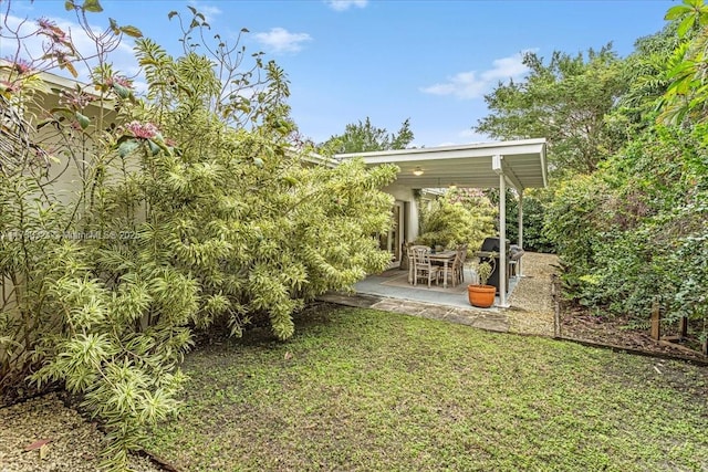 view of yard featuring a patio