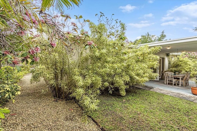 view of yard with a patio area