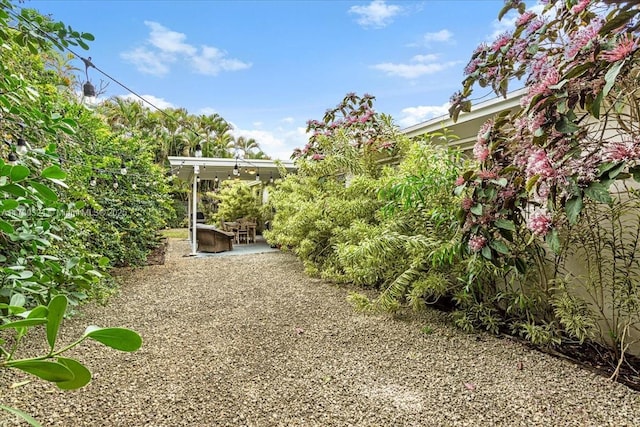 view of yard featuring a patio area